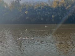 -汉长安城未央宫国家考古遗址公园