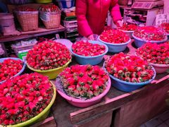 -五里多农博广场