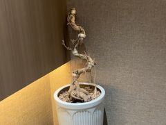 -阿露佳·舌尖上的安吉菜