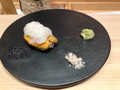 墨鱼紫胆-橼舍鮨青木