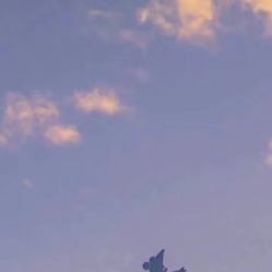 -凡碧诗毛孔收细
