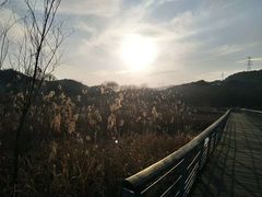 -西湖风景区-江洋畈生态公园