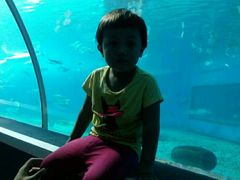 -北戴河圣蓝海洋公园