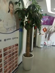 -联合丽格·张菡丽格医疗美容