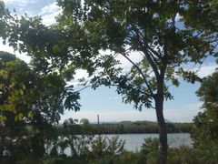 -广州白江湖森林公园