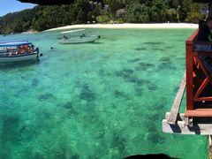 -东姑阿都拉曼海洋公园