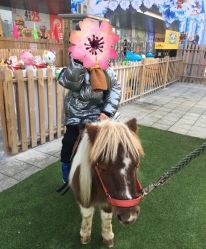 -萌宠亲子动物乐园(槐房万达店)