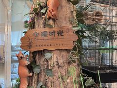 -丽江庭院之丽江往事(安定门店)