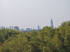 -紫金山山顶公园