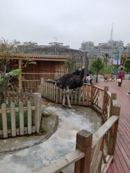 -三分地生态园·儿童乐园