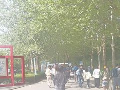 -朝阳公园游乐园