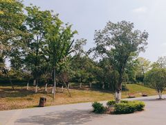 -桂溪生态公园