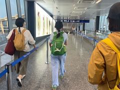 -米兰-马尔彭萨机场