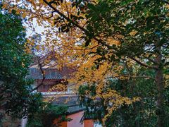 -狼山风景名胜区