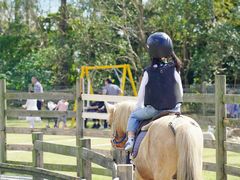 -前小桔亲子创意农场·草莓采摘·露营烧烤