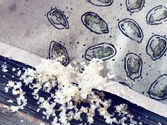 -麦当劳(红旗路店)