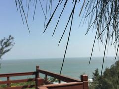 -漳州滨海火山岛自然生态风景区