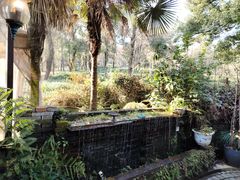 -野蔓果·山野菜(西湖景区·龙井茶田店)