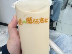 -猫的魔法密林(衣裳街店)