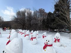 -沈阳奥体冰雪嘉年华