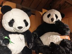 -小樽八音盒堂