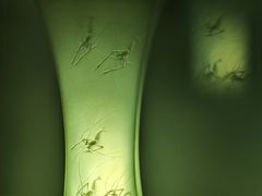-深圳珠宝博物馆