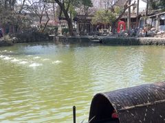 -绮园景区