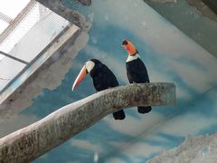 -石家庄市动物园