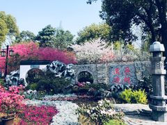 -苏州上方山国家森林公园