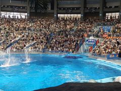 -海合安成都极地海洋公园