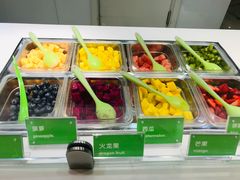 -Salud撒露欧洲冻酸奶(蓝色港湾店)