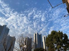 -85度C(上海兰溪二店)