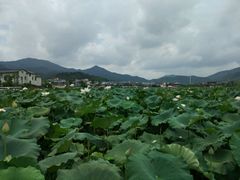 -古田会议纪念馆