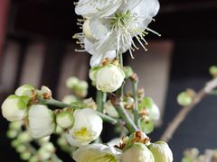 -北京明城墙遗址公园