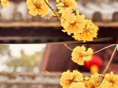 -光孝寺