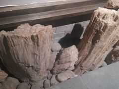 -乐山乌木文化博览苑