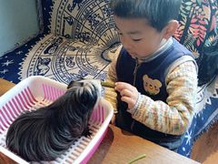 -藦茜花园宠物主题亲子互动体验馆(国顺东路店)