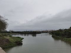 -风云岭森林公园