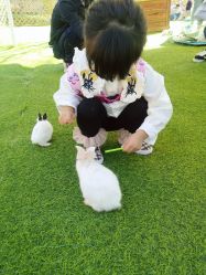 -萌宠亲子动物乐园(槐房万达店)