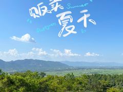 -南丹山森林王国