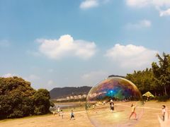 -风云岭森林公园