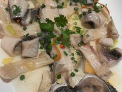 -中山市绿华园食府
