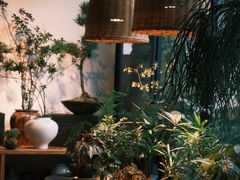 -自由生长植物工作室(深港花卉中心店)