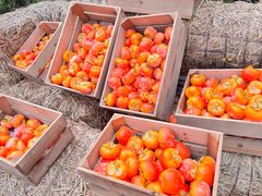 -歌斐颂巧克力小镇