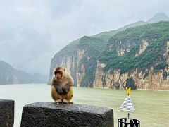 -白帝城·瞿塘峡景区