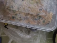 -福州人铭小吃