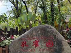 -西双版纳傣族园