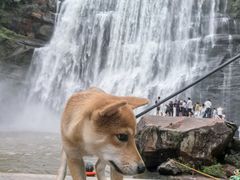 -赤水丹霞旅游区·大瀑布