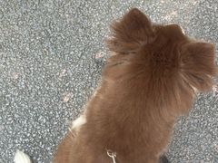 -宠颐生汉谟拉比宠物医院