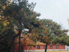 -戏马台景区